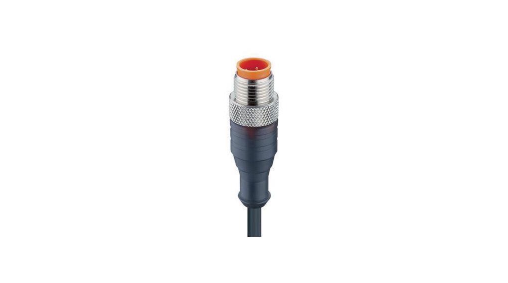 Cordset, M12 Plug - Bare End, 4 Conductors, 5m, IP67, Black